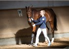 Pferd International 007